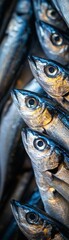 A close-up of stacked fish, showcasing their shiny scales and distinct features, creating an intriguing visual of seafood.