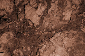 Background with the texture of natural stone.