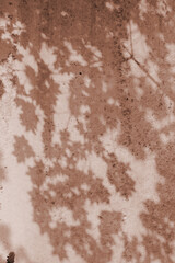 The shadow of the tree leaves on the old beige wall.