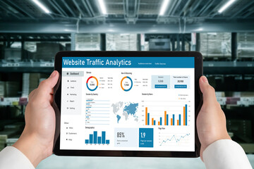 Computer software for website traffic analytics data on computer screen. Concept of SEO search engine optimization and customer targeting for online business snugly