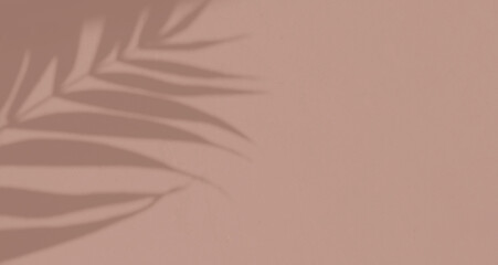 Shadow leaf dypsis on Mocha Mousse color wall. Mocha mousse color of the year 2025. Monochrome background