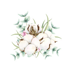 Hand drawn soft elegant cotton, eucalyptus and pink snowberries bouquet. Watercolor botanical illustration isolated on white background. Drawing for floral greeting cards, invitation, wedding designs