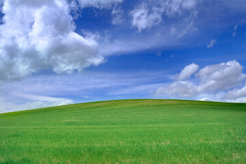 Green Farm Field Crops Blue Sky and Clouds