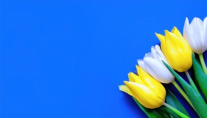 Bright Yellow and White Tulips on Vibrant Blue Background. Perfect for Spring, Mother's Day, Women's Day, Easter, or Valentine's Day Themed Designs with Copy Space Text or Promotional Content