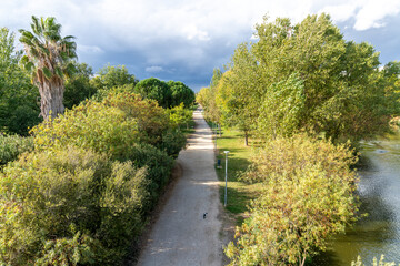 Narrow Path Through Park with Trees, Vegetation, and Cat on the Way