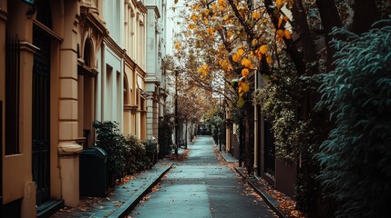 Fototapeta premium An empty footpath with neat rows of urban buildings and scattered greenery, enveloped in a crisp, cold atmosphere.