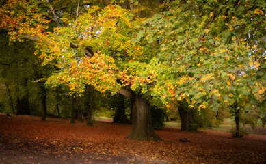 Kearsney Abbey Gardens