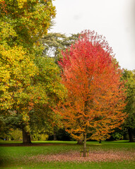 Kearsney Abbey Gardens