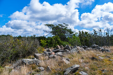 Naturreservat Hallarumsviken, Blekinge, Schweden
