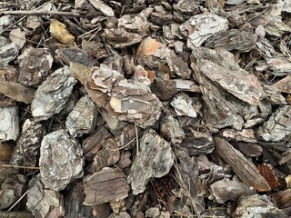 Mulching the soil with bark. Pieces of pine bark are carpeted on the surface of the earth. Red brown natural background. Soil mulching design. Decorative pine bark beautiful woody natural background.
