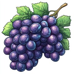 A vibrant illustration of a bunch of purple grapes with green leaves.
