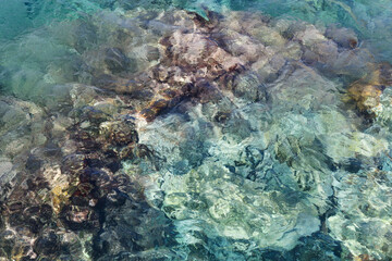 Abstract background with transparent ocean water over rocky bottom