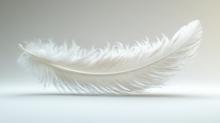 Obraz premium Delicate white feather gracefully placed on a soft background