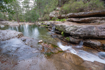 Wasserbecken im Aïtone-Wald, Foret d'Aitone, Korsika, Frankreich