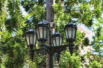 lamps in the park among the green trees 