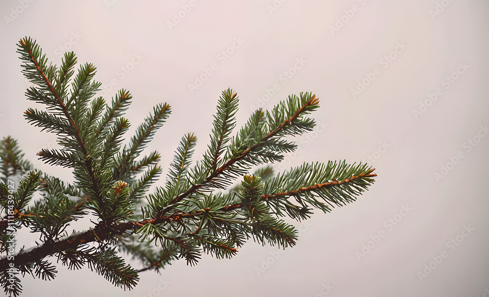 Poster a tree branch with green leaves and a few brown tips. the branch is leaning to the right