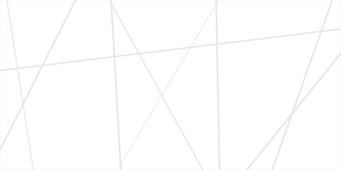 Abstract lines in black and white tone of many squares and rectangle shapes on white background. Metal grid isolated on the white background. nervures de feuilles mortes, fond rectangle and geometric