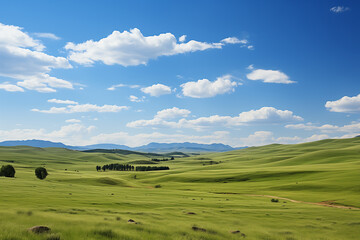 Fototapeta premium Lush green field with vibrant grass, clear blue sky, and an open horizon on a fresh, natural day.