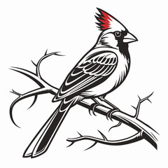 cardinal vector,christmas cardinal  ai