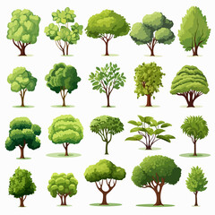 Fototapeta premium Diverse Collection of Plants and Trees Illustration for Design Projects