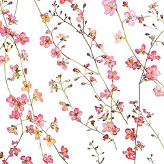 Delicate floral arrangement botanical design transparent background artistic display close-up perspective nature concept