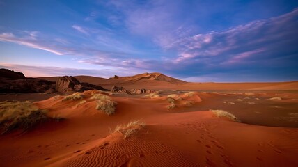 Naklejka premium sand dunes in the desert