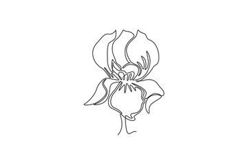 Continuous one line drawing beauty fresh perennial plants for wall decor home art poster print. Decorative iris flower concept for invitation card. Single line draw design vector graphic illustration