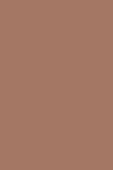 Brown background. Brown color of the year 2005.
