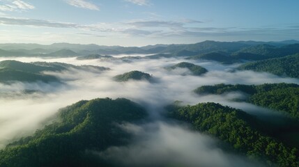 Serene Aerial View of Foggy Mountains and Lush Green Forests
