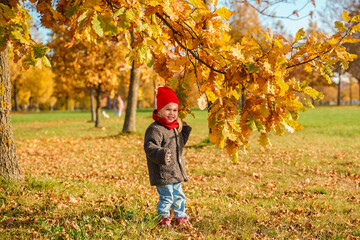 Caucasian cute little child girl toddler in a hat and a coat in the park in a golden autumn sunny day.