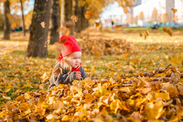 Caucasian cute little child girl toddler is playing with a bunch of autumn leaves in the park on a golden autumn sunny day.