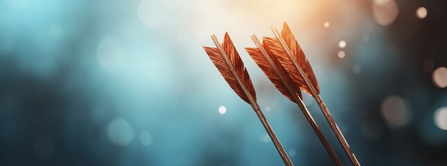 Three arrows with bronze fletching,  pointing towards the light against a bokeh background.  Success, teamwork, or target concept.