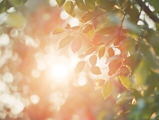 Obraz premium Serenity in Sunlight: A Tranquil Moment Among the Leaves