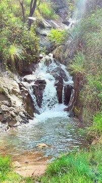 A calming waterfall in a lush green setting, with sunlight streaming through trees and water flowing smoothly into a serene pool, creating a tranquil vibe.