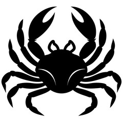 crab isolated on white