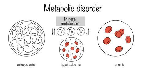 Mineral metabolism