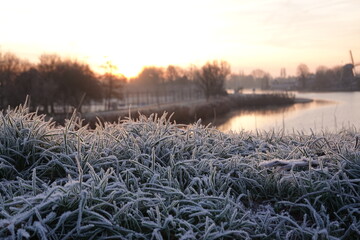 Frost on the grass