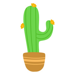 Cactus Illustration
