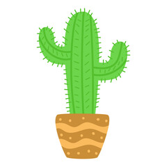 Cactus Illustration