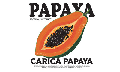 Carica papaya fruit print. Nature fruit club print design. Watercolor fruit t shirt design. Sweet Papaya artwork. Summer tropical vibes art.