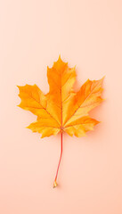 A delicate leaf rests on textured ground, showcasing nature's simplicity and intricate, natural patterns.