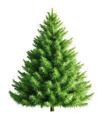 Fototapeta premium Realistic Christmas tree isolated on transparent background. Evergreen holiday decoration 