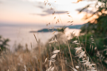 Montenegro landscapes: the way to the heart of nature