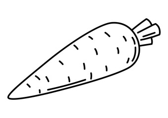 Illustration of carrot. Stylized food object for cooking recipe and menu.