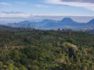 Fototapeta premium Green tropical forest with mountain and hills