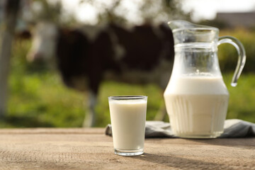 Fresh milk in jug and glass on wooden table outdoors