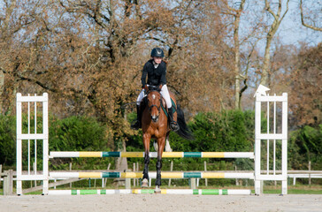 Beautiful young rider on her mare with her protective vest during a show jumping competition