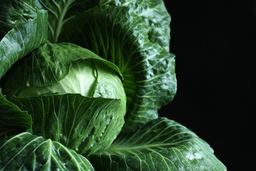 Whole ripe head of cabbage on dark background, closeup