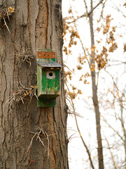 beautiful green wooden bird house