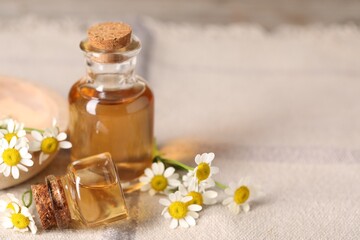 Bottles of essential oil and chamomile flowers on table, closeup. Space for text